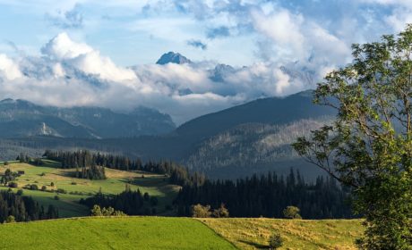 Najlepsze apartamenty w zakopanem z widokiem na tatry