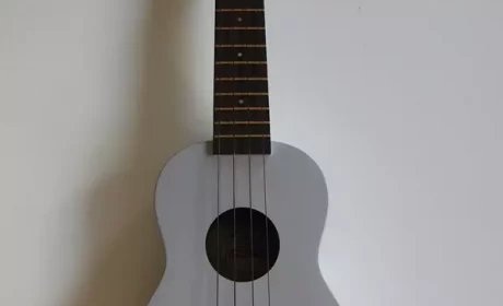 Ukulele: jak wybrać najlepsze dla swojego stylu muzycznego?