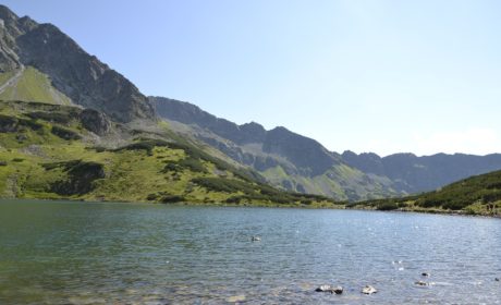 Apartamenty zakopane – komfortowe wnętrza i doskonała lokalizacja