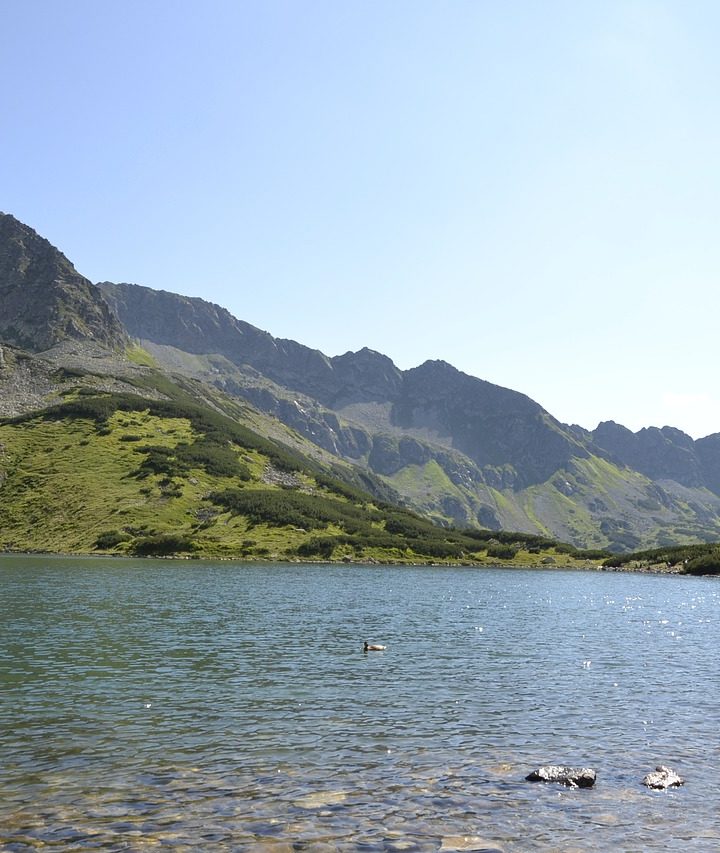 Apartamenty zakopane – komfortowe wnętrza i doskonała lokalizacja